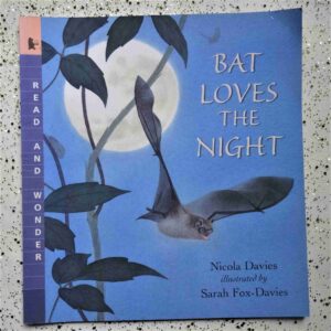 Bat loves the night children's books